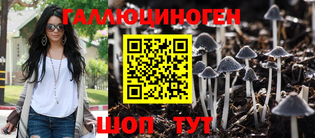 Михайловка  Галлюциногенные грибы ЛСД  Вход с VPN 